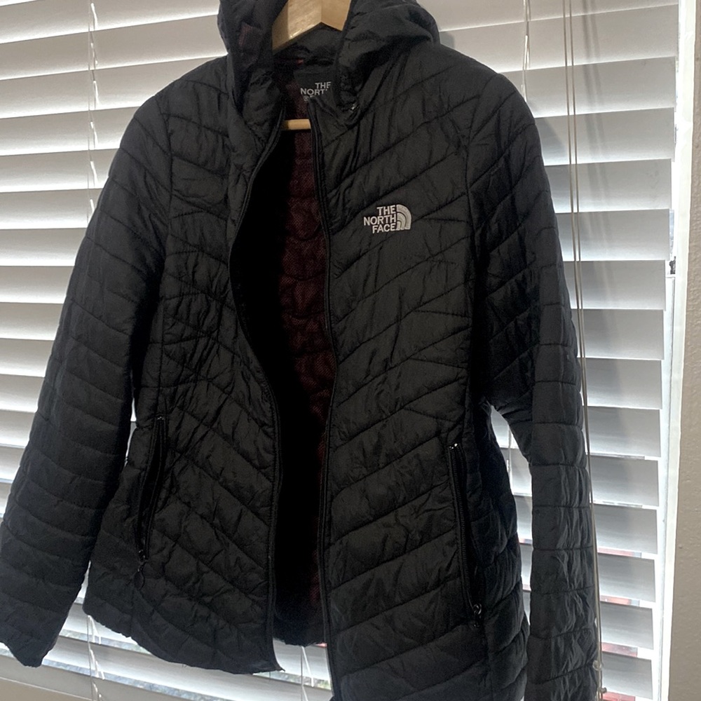 The north face jacket